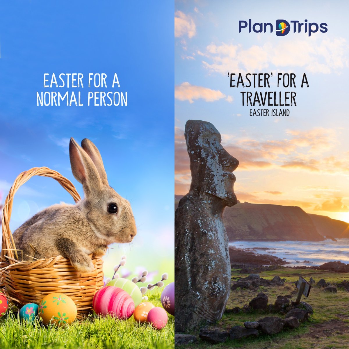 plandtrips's tweet photo. May your day be filled with cherished moments and remarkable adventures alongside loved ones. Here's to creating unforgettable memories and embracing the joy of the season. Happy Easter!

#Easter #PlanDTrips #Easter2024 #travel #weekend #EasterIsland #travellife https://t.co/0hkssn76MC