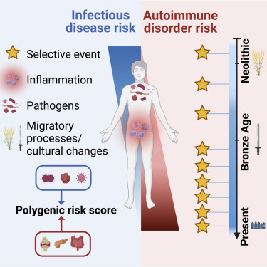 Genetic adaptation to pathogens and increased risk of inflammatory disorders in post-Neolithic Europe Top cited paper from @CellGenomics - 17 citations hubs.ly/Q02m-Kh_0 @QuintanaMurci @Etienne_Patin @Glaval1Laval @GaspardKerner @institutpasteur @cdf1530 @CNRS