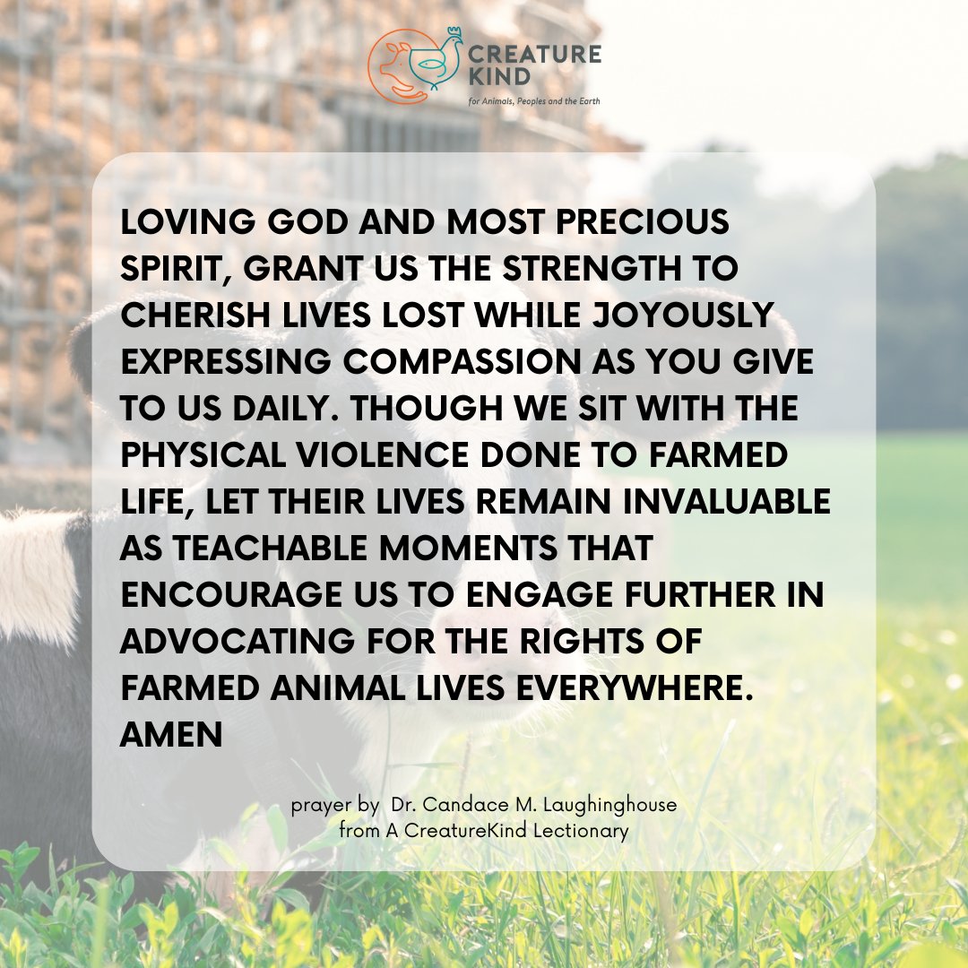 On this Holy Saturday, we find ourselves in the 'in-between,' where grief meets hope and darkness precedes light. 
⁠
You can find this prayer and more Lenten reflections on The CreatureKind Lectionary. Download your free copy: tinyurl.com/54nazx8n