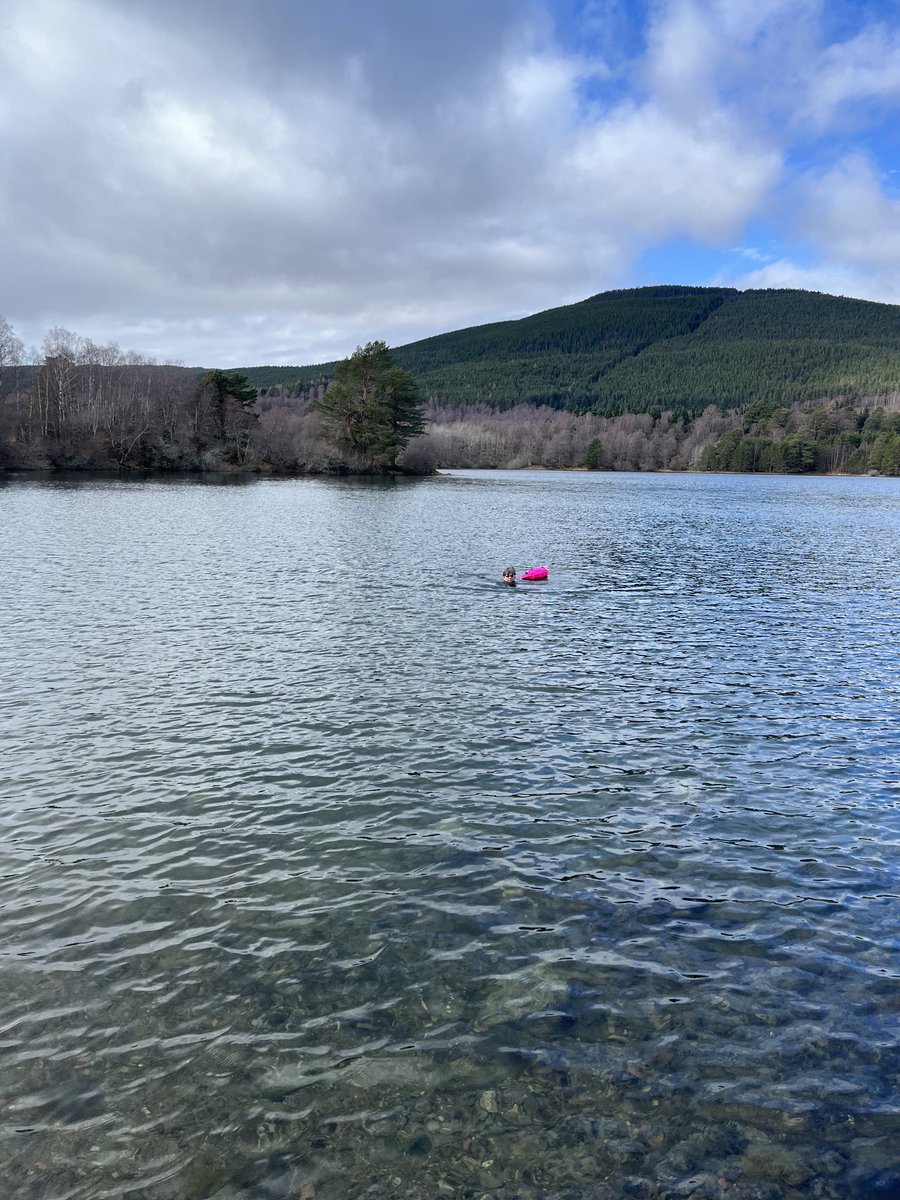 First swim of the year #scotland #cold