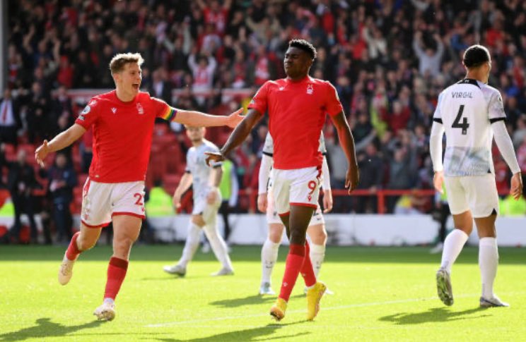 FFSForest tweet media