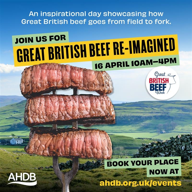 Two weeks to go .... #chefs come and see how your #BritishBeef is produced along with #Butchery #MarketIntel and #ChefDemos 16 April - Braintree Share with your contacts please and book here ahdb.org.uk/events/great-b… #GrestBritishBeefWeek2024 #GBBW24 @mckown_dav @MurrayKC