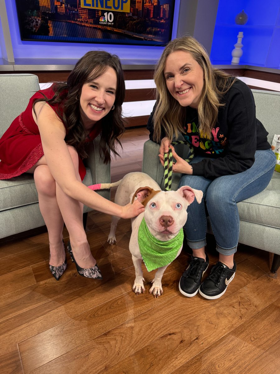 Mama has the most beautiful blue eyes. And, she has a personality to match.

This super sweet girl was the star of the show at <a href="/nbcphiladelphia/">NBC10 Philadelphia</a> this morning. 

Now, all she needs is a #furever home.
-
Pennsylvania SPCA
350 E Erie Ave., Philadelphia, PA 19134
Kennel #3079