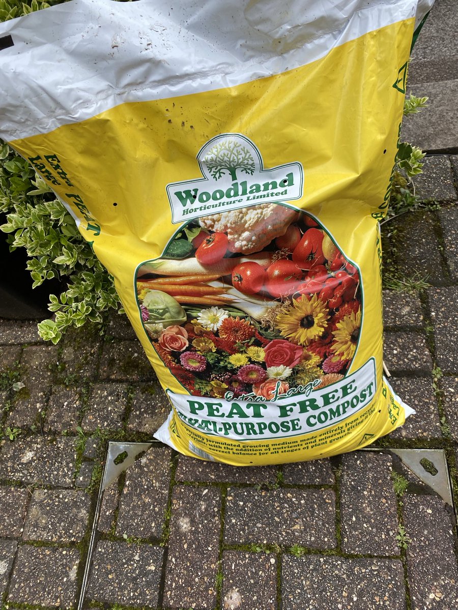 Since the demise of my previous compost supplier I have come across the one in the photo. I have been using this for about a month and the results are very promising. I have grown seeds in it and they are thriving and used to pot on plants that are growing well. All looking good.