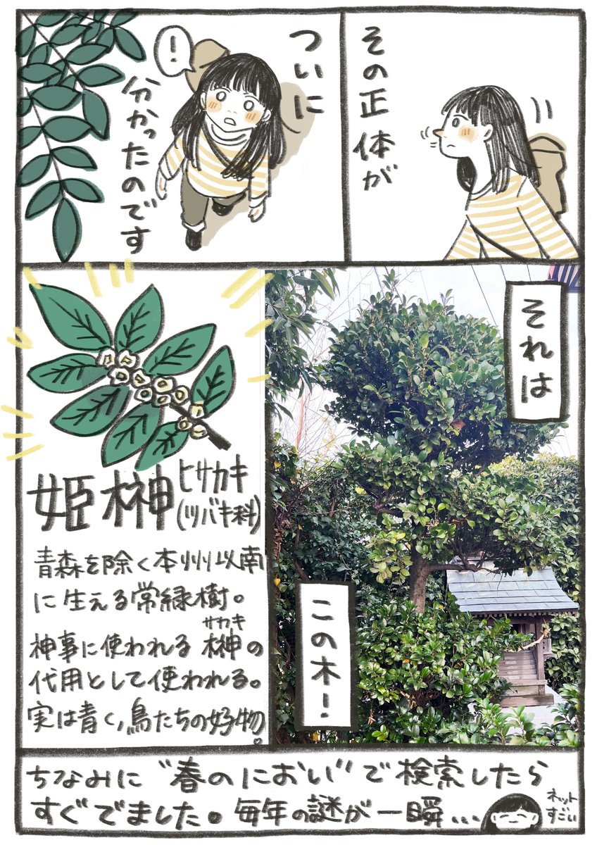 「春のにおい」の正体、ついに分かった…! っていう日記です 