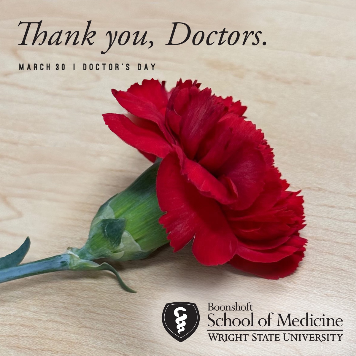 Happy #DoctorsDay! The red carnation stands for adoration, love and respect and depicts this special day. Medical students, residents, alumni and faculty, #BSOM appreciates you! Shout out to our faculty among the 2024 Dayton's Best Docs bit.ly/49axthP.