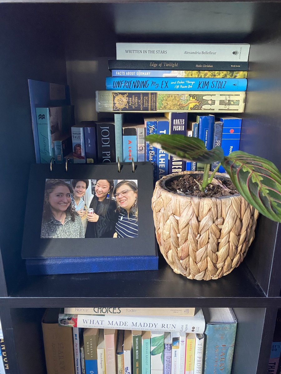 Moved my prayer plant in hopes I can keep her alive. 

The prayer is my Achilles heel!