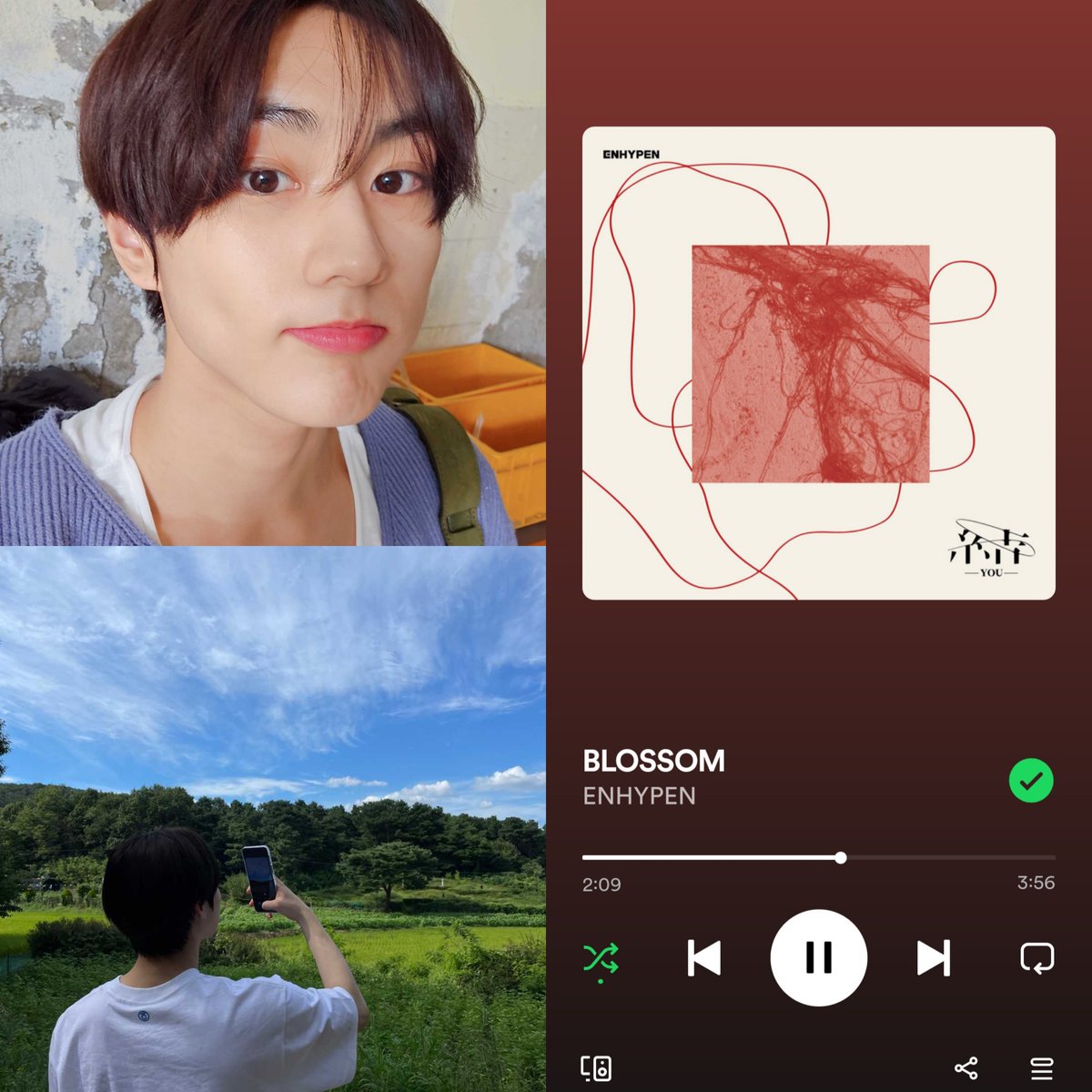 maknaez anticipating spring! but i take it as a spoiler 👀