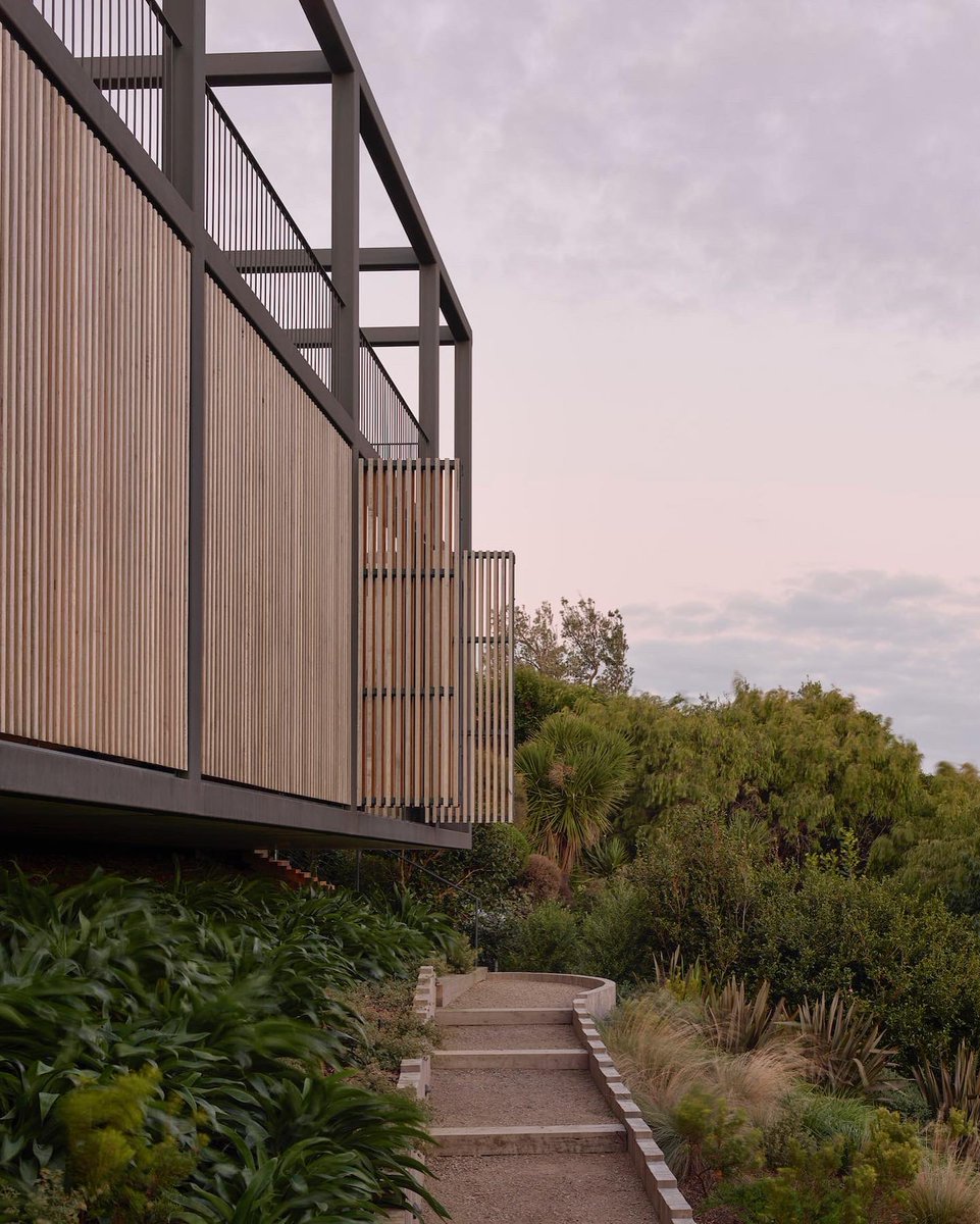 SATORI & SCOUT tweet media