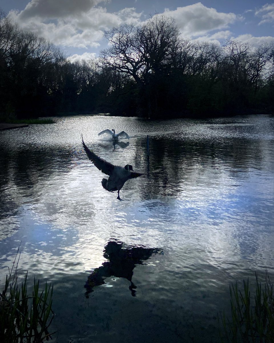 Susi Raymakers tweet media