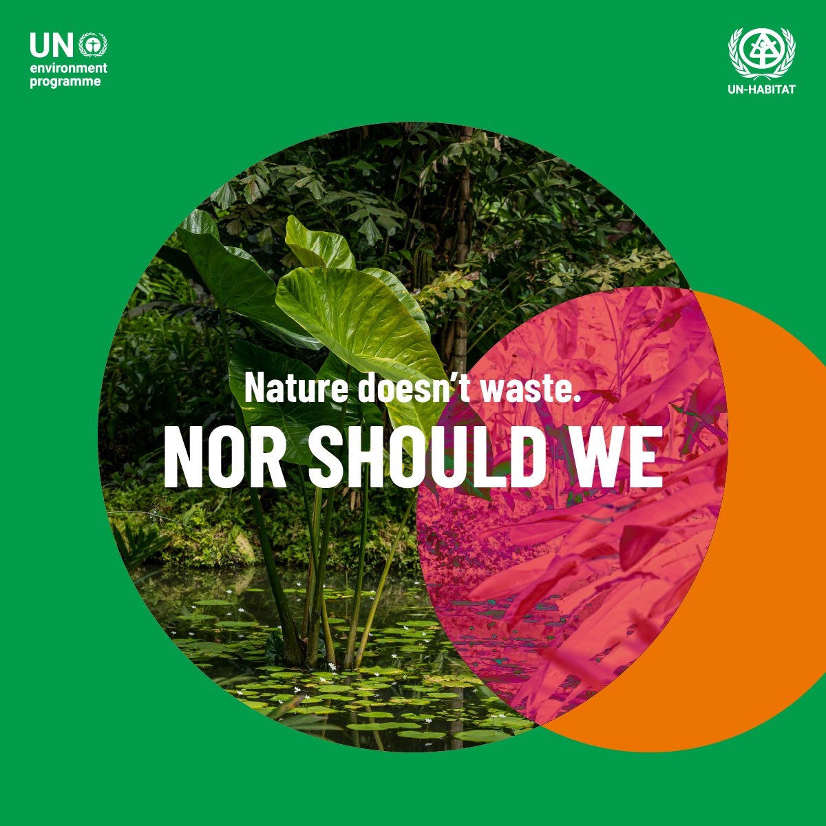 UNEP's tweet photo. 3 ways efforts to #BeatWastePollution can help make progress on the #BiodiversityPlan

1. keep risks at bay
2. protect green &amp; blue spaces
3. let nature catch its breath

@unbiodiversity info for #ZeroWasteDay: https://t.co/XFv6zxm8SX https://t.co/SedIDvl3OH
