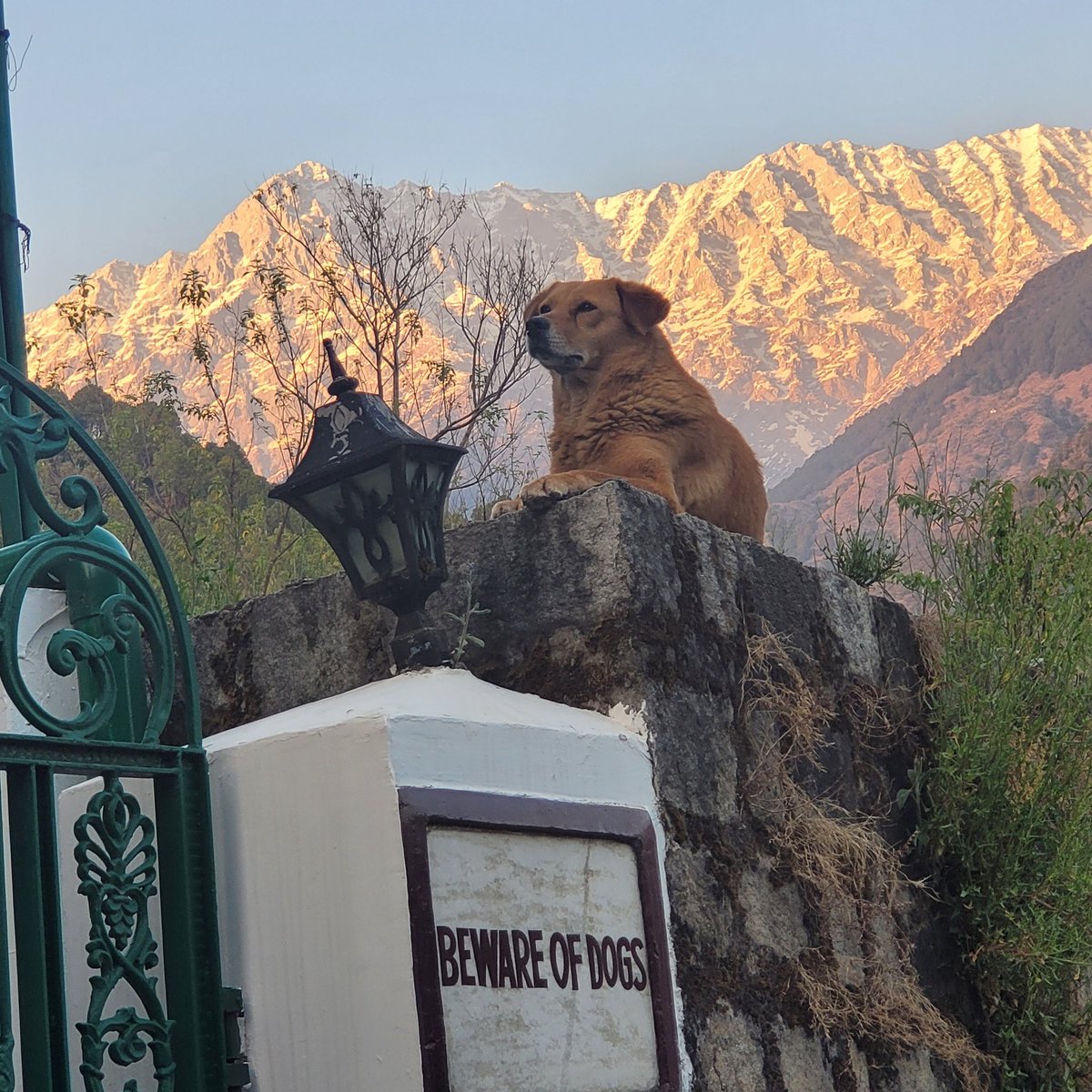 Suvashis Choudhary, X-Cop. tweet media