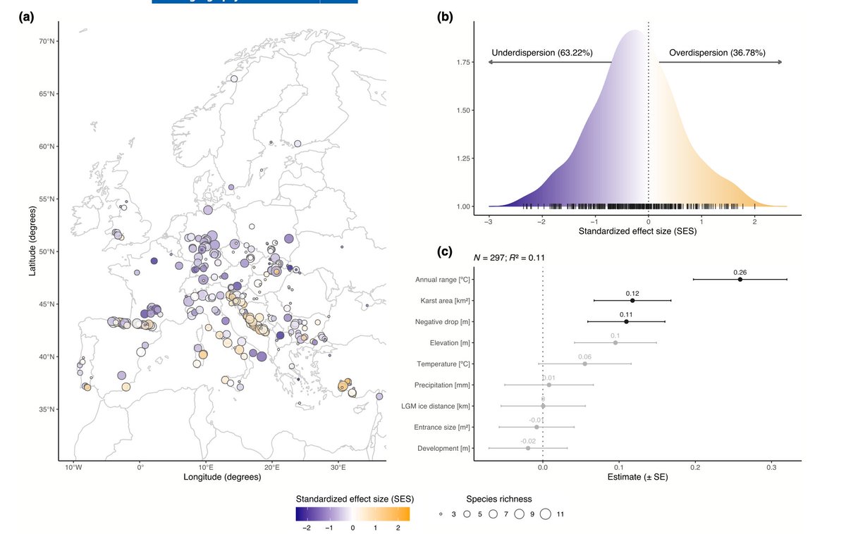 Stefano Mammola tweet media