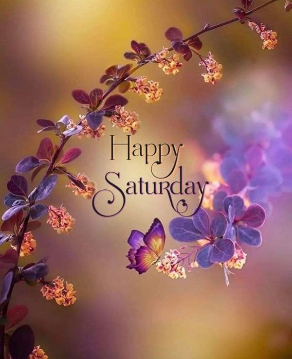 Wishing you a Saturday filled with abundant joy, lasting peace, and limitless blessings. Empower yourself to make today amazing.
🙏🌊🙏
#tiktok #foryou #gay #northportland #northeastportland #southeastportland #southwestportland #gayrealestate #lifeofagayrealtor #garyandscott