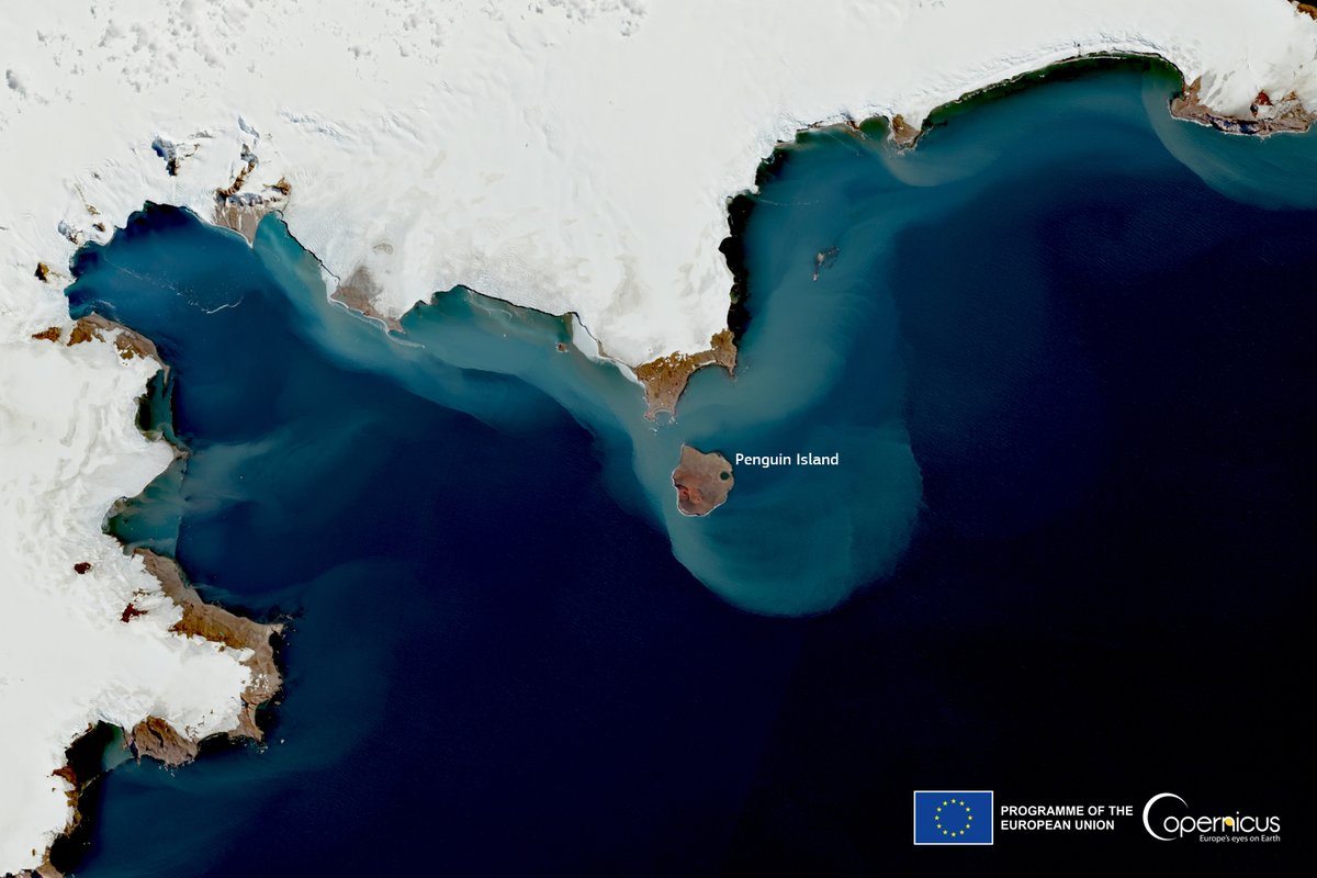 #DYK that in #Antarctica 🇦🇶, there is a place called Penguin Island ❓ Also known as Georges Island, it is rich in biodiversity, especially of birds and penguins 🐧🪽 This is why it has been declared an Important Bird Area #IBA by @BirdLife_News ⬇️#Sentinel2🛰️📷 image