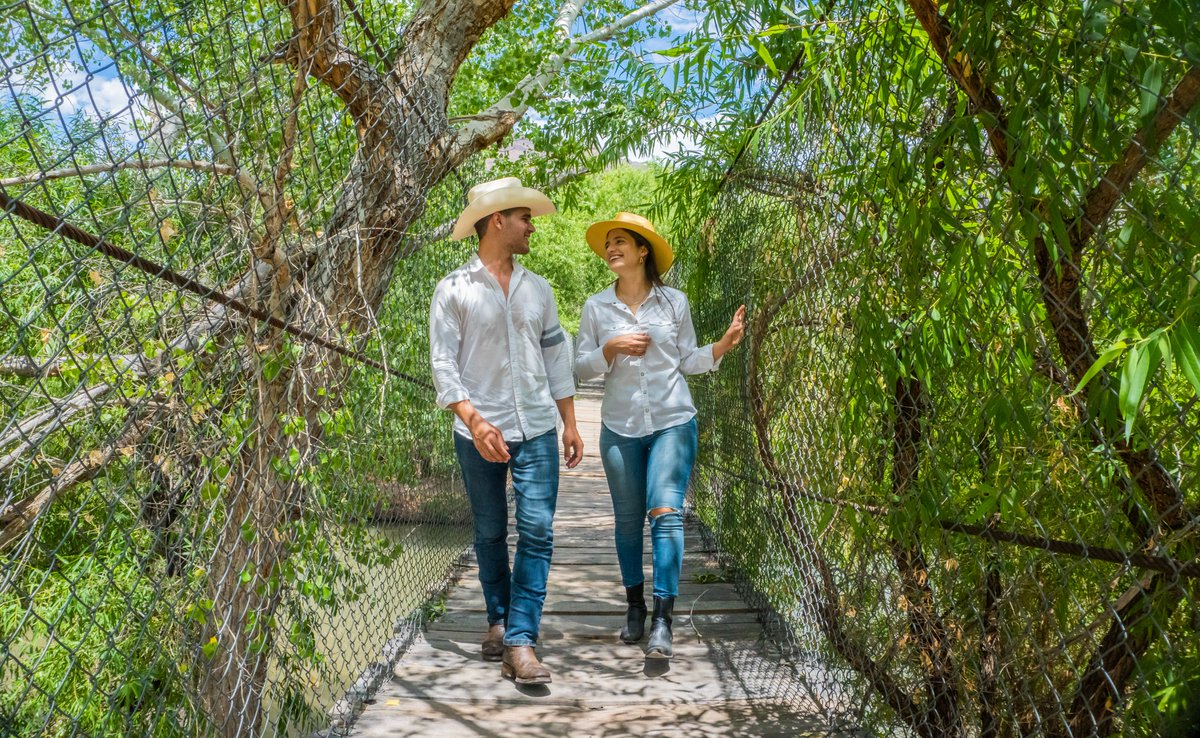 Descubre la auténtica belleza de la Sierra de Sonora mientras disfrutas de aventuras al aire libre que te conectarán con la naturaleza de una manera única. #AlSonDeSonora #SemanaSanta #Sonora 🌿🐎