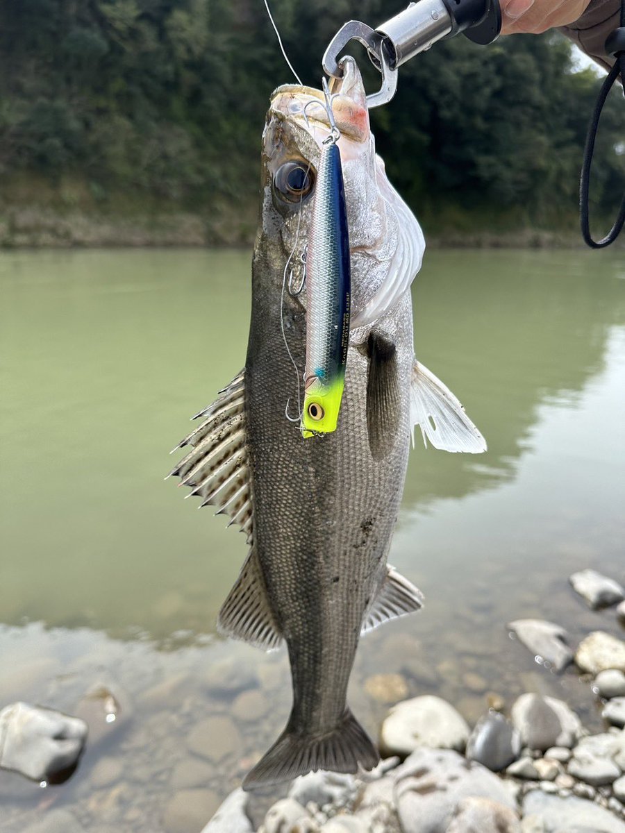 シマノ 23 ストラディック 4000MHG 送料無料 [リール