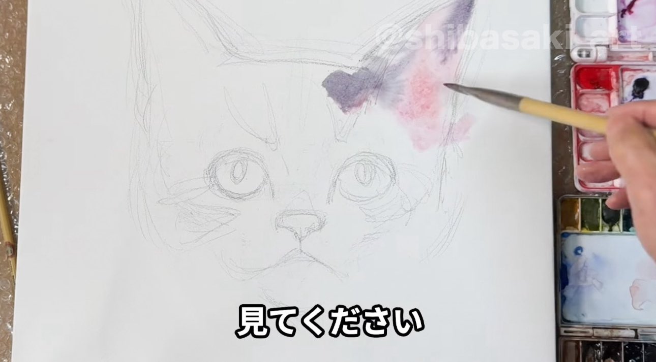 Watercolor by Shibasaki🎨柴崎春通 on X: Watercolor by Shibasaki🎨柴崎春通 on X: