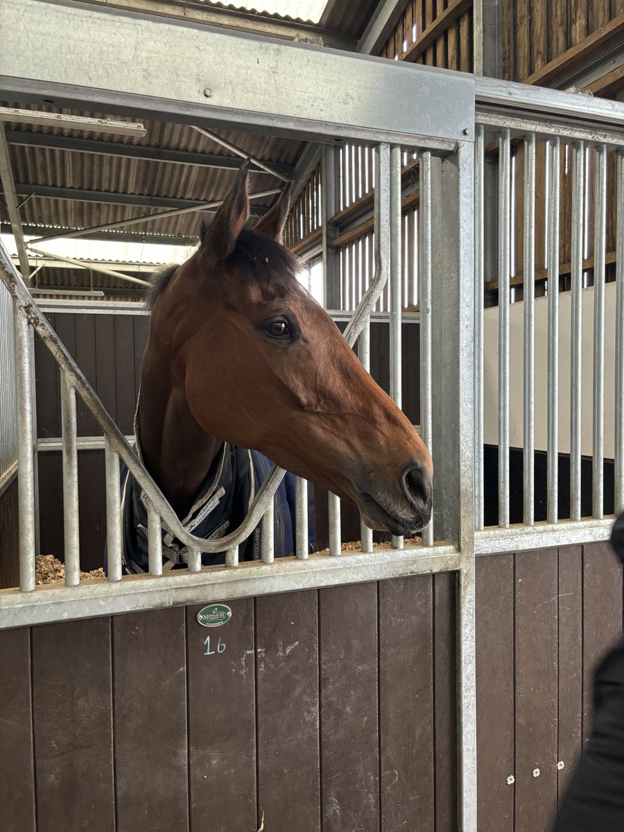 Our member's had a fantastic visit to Harry Fry's Yard on Thursday! 😍 We watched horses on the gallops and had an exciting tour of the yard, meeting many of the stars including Love Envoi 🐎 Thank you @HarryFryRacing1