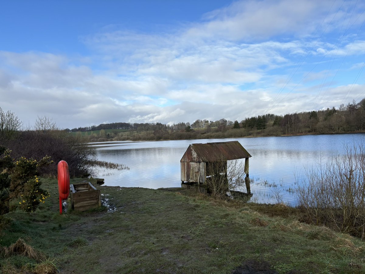 Fiona Drane tweet media