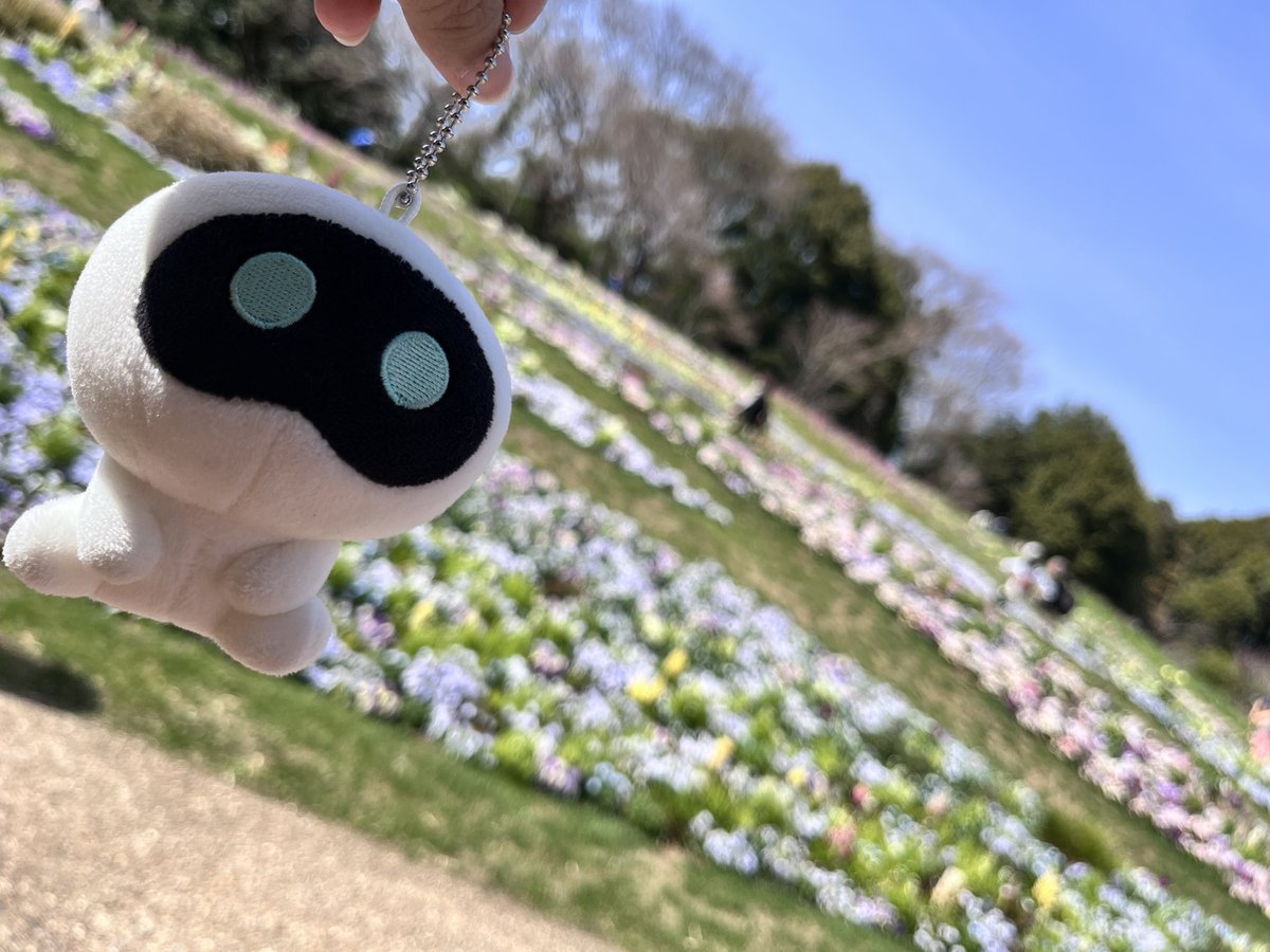 Hiiichan0613's tweet image. お花畑行きました💐
#推し活 #大人ARMY #jin #jhope #rj #mang #花より美しい推し