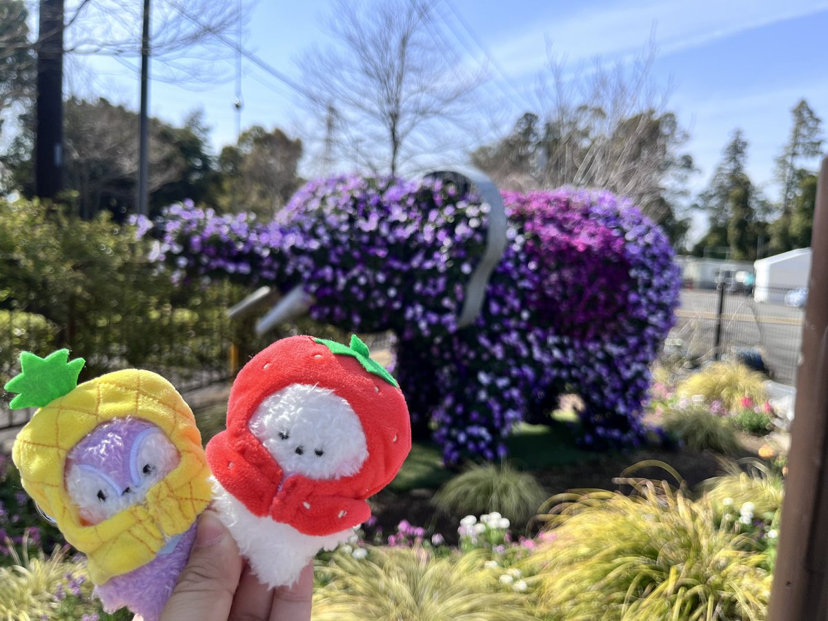 Hiiichan0613's tweet image. お花畑行きました💐
#推し活 #大人ARMY #jin #jhope #rj #mang #花より美しい推し