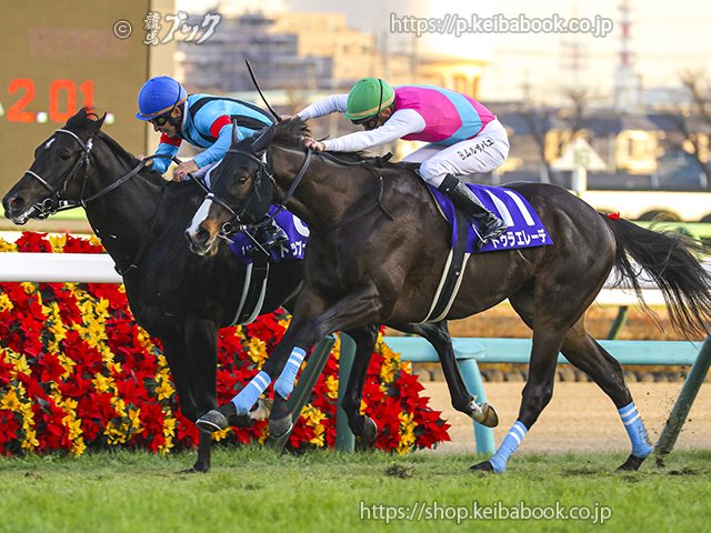 【🇦🇪2024DubaiWorldCup Day 出走日本馬】
9R #ドバイワールドカップ🏆1時35分発走予定 

🏇🏽#ウィルソンテソーロ 原優介騎手
🏇🏽#ウシュバテソーロ 川田将雅騎手
🏇🏽#デルマソトガケ C.ルメール騎手
🏇🏽#ドゥラエレーデ B.ムルザバエフ騎手

#WilsonTesoro 
#UshbaTesoro
#DermaSotogake 
#DuraErede