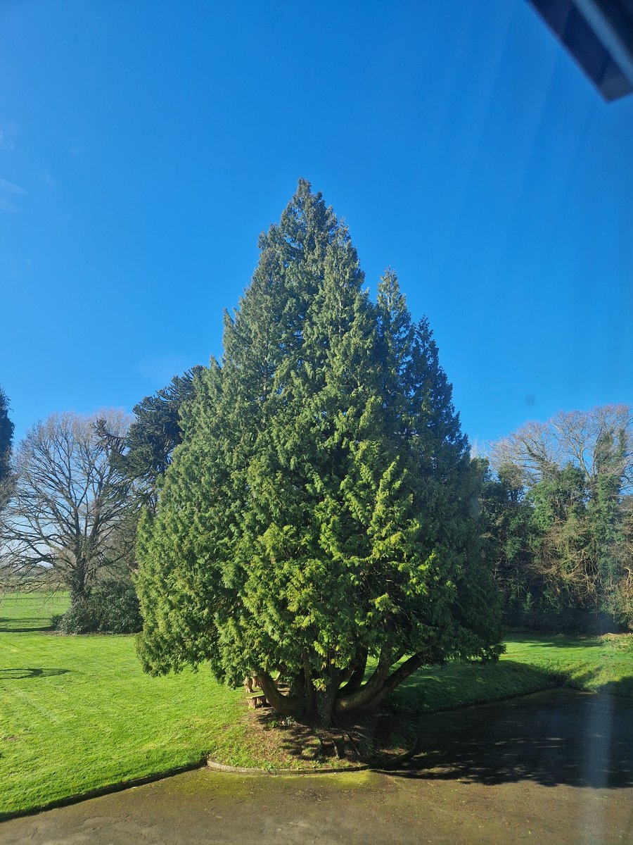 Kagsy25's tweet image. Woke up and it's very beautiful outside, just been for brekkie an just as beautiful inside
Feels like I've gone back in time!
It's lovely to step away from modern times and step into olden times
Feels like that anyway, very pleasant here in Shropshire
#acting
#chilled
#oldendays