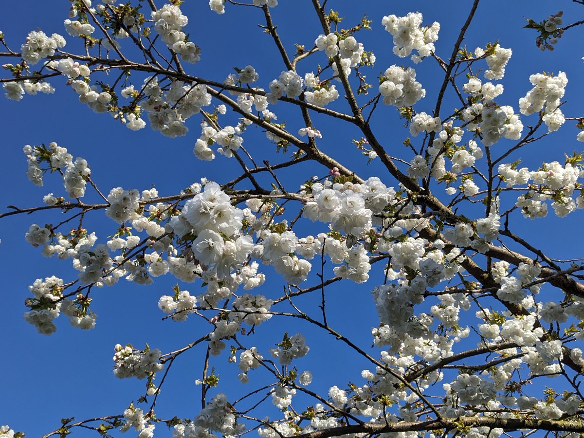 Hello - sunshine at last! We're open today, 10-5...