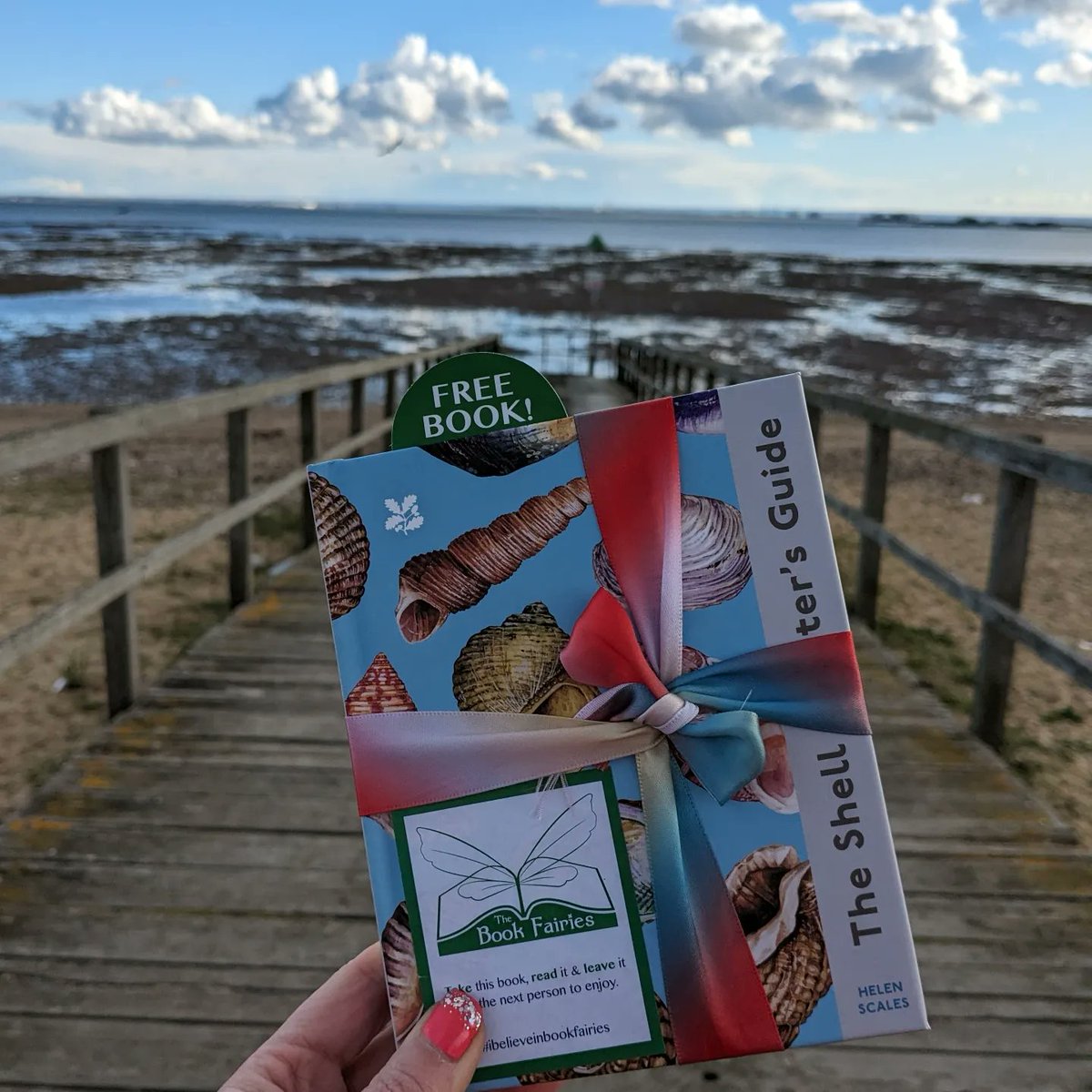 'Try leaving only footprints and taking only photos' 📸

The Book Fairies are sharing copies of The Shell Spotter's Guide, a National Trust book that encourages us to go out exploring along our riverbanks coastlines 🐚

#ibelieveinbookfairies #TBFShell #TBFCollins #NationalTrust