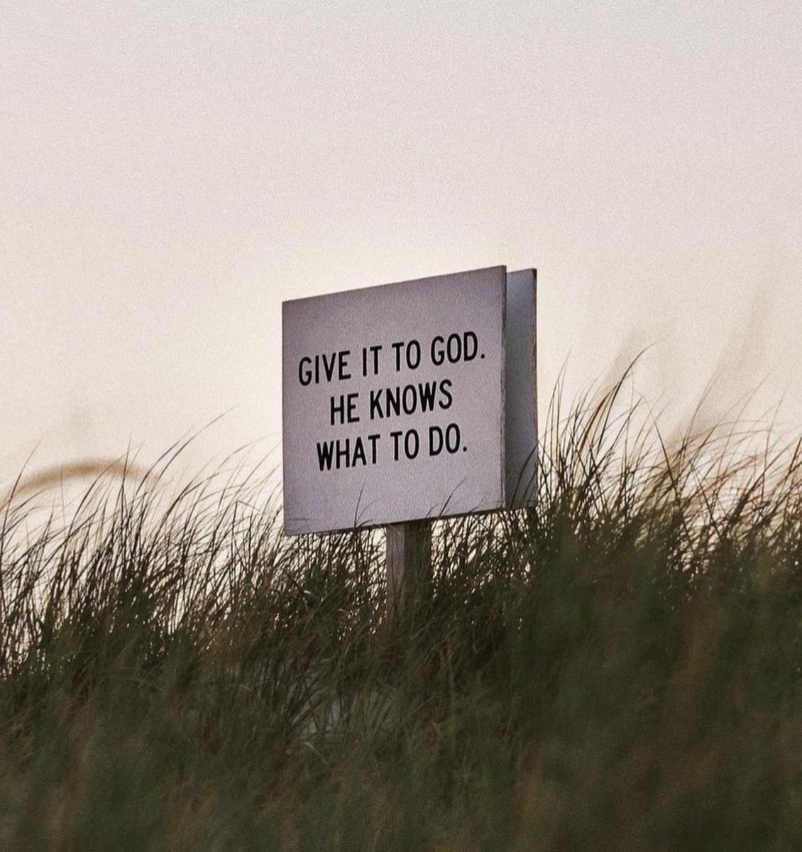 wiseconnector's tweet image. He knows