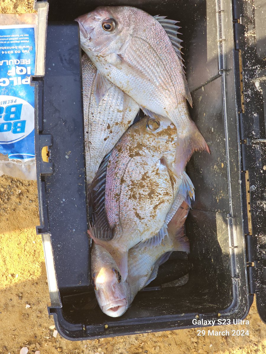 Ishmael Rupanga tweet media