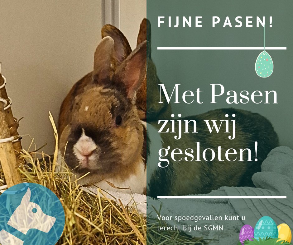 MARKdierenarts tweet media