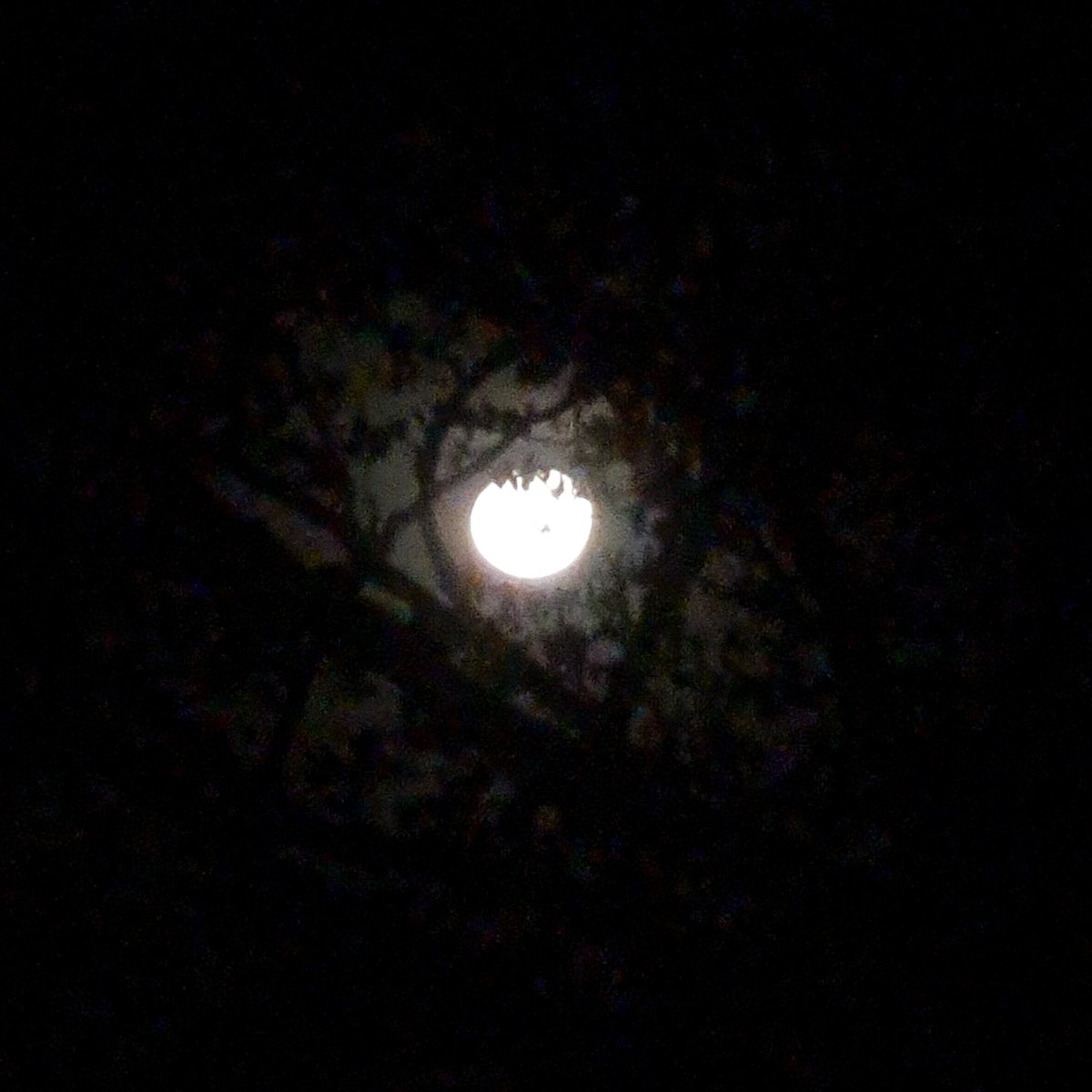 The #moon on #MaundyThursday