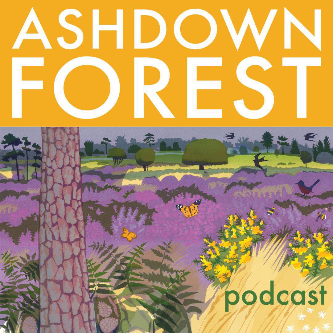 And the count down begins…
Only 5 days until episode 1 of season 2 goes live. 
We’re so excited to be bringing you a whole episode dedicated to CHILDREN and NATURE. 
#kidsinnature #natureconnection #timeinnature #childhoodunplugged #forestschool #naturepodcast #ashdownforest