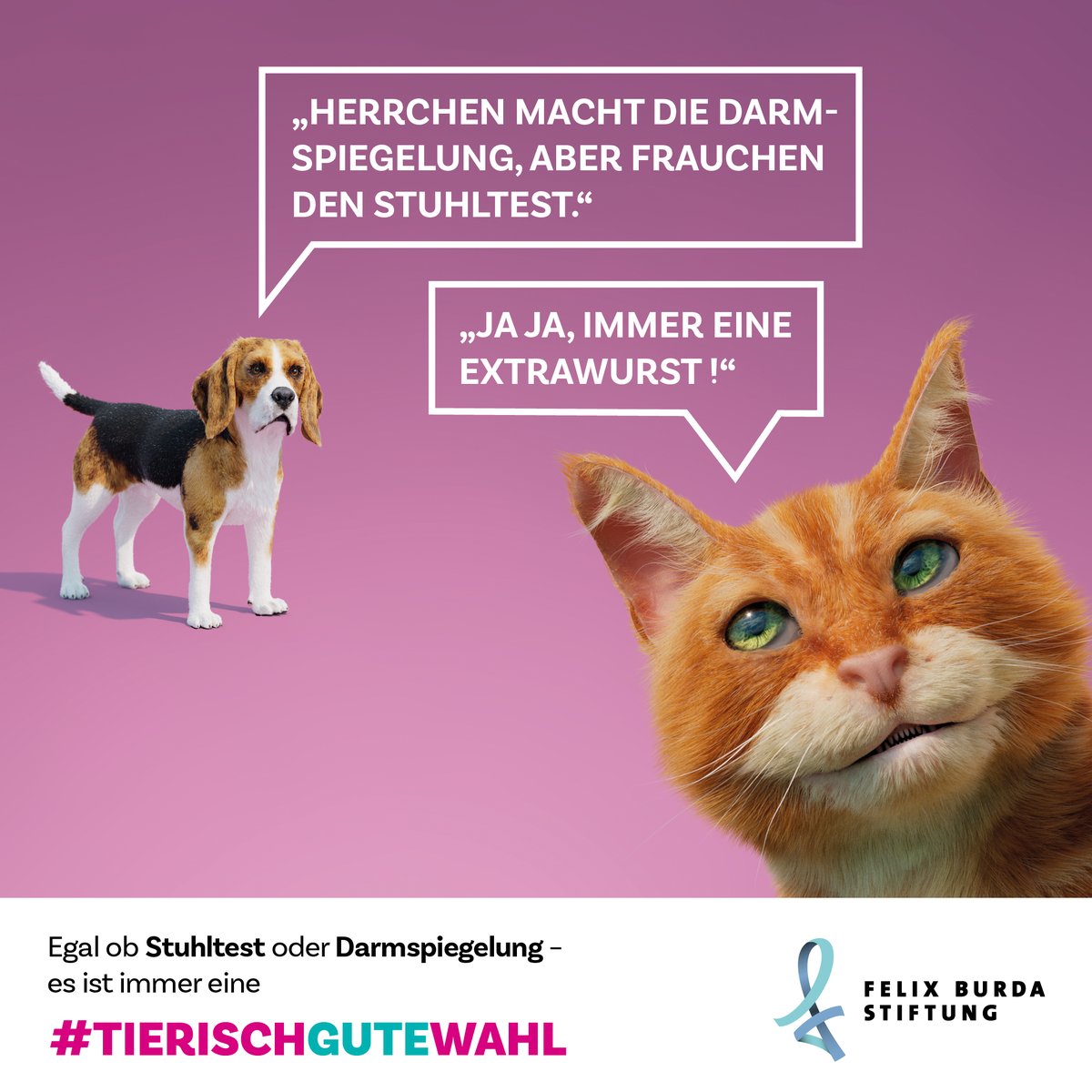 So einfach ist das mit dem #Stuhltest. 👍🏻 Mehr dazu auf tierischgutewahl.de 🐶🐱 #Darmkrebsmonat #März #Darmcheck #Darmkrebsvorsorge #TierischGuteWahl #Hunde #Katzen #Catcontent #Gesundbleiben