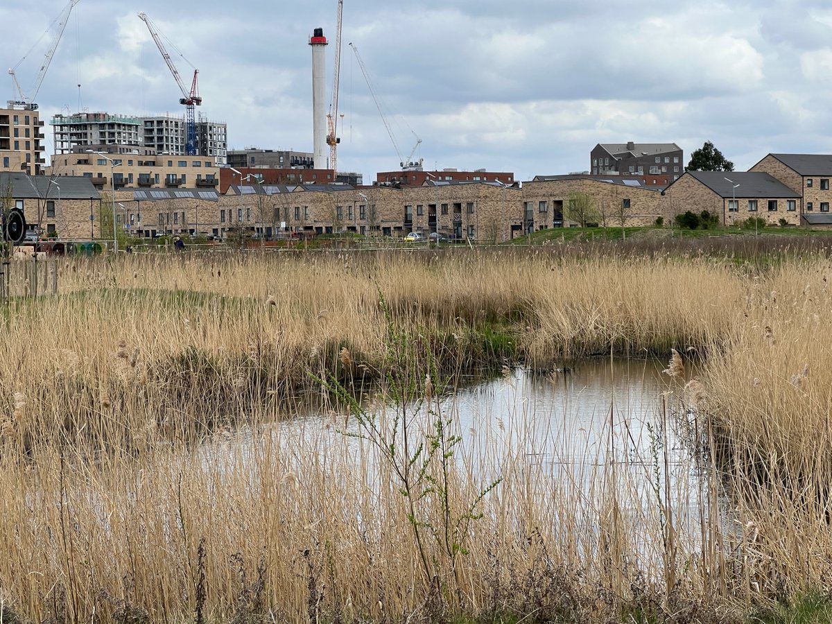 #virtualtour of the Crane Valley: constructed wetland at Headstone Manor Park @harrow_council, designed to help purify surface water prior to discharge to the @HeadstoneManor1 moat and then the Yeading Brook West. @FoHMRG @harrowonline @HarrowNCF @FriendsRivCrane @habsandheritage