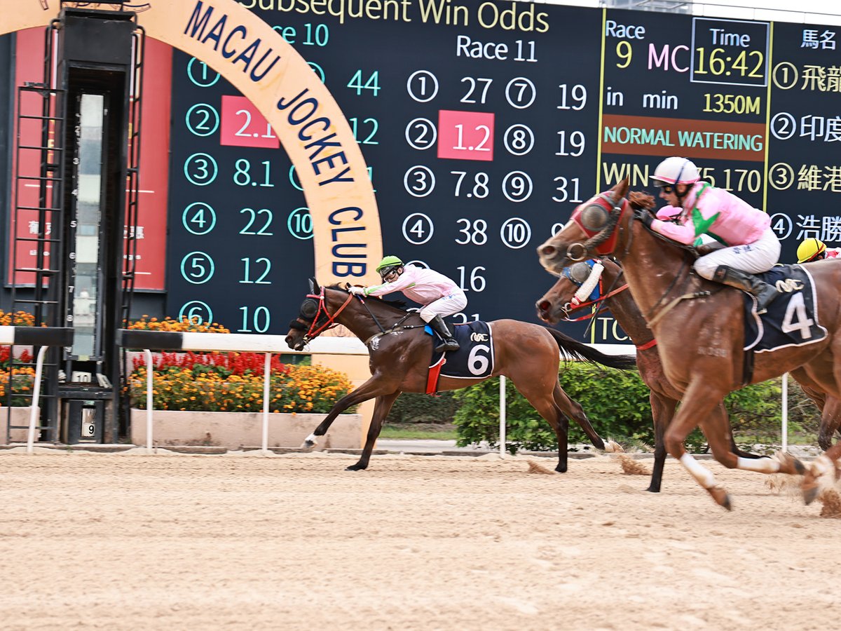 Macau Jockey Club tweet media