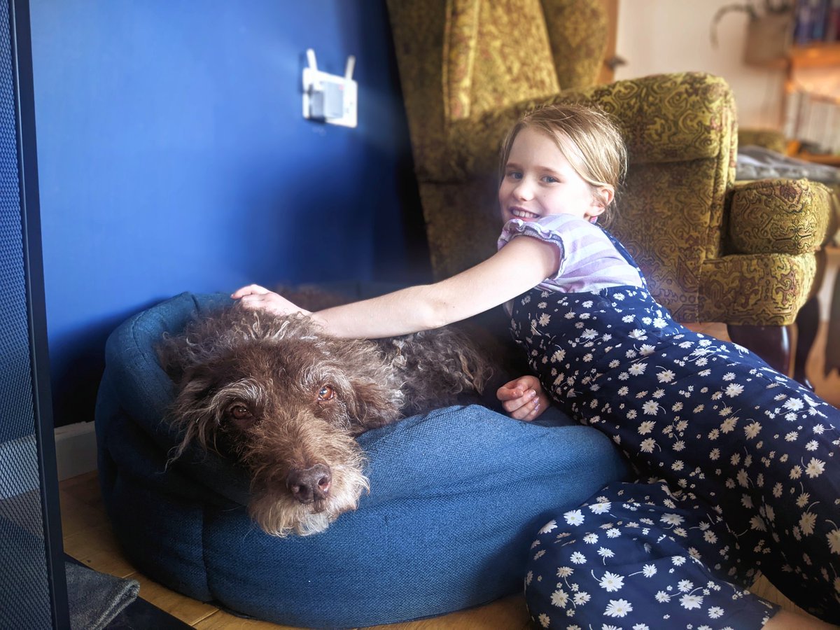 Charli Boddington tweet media