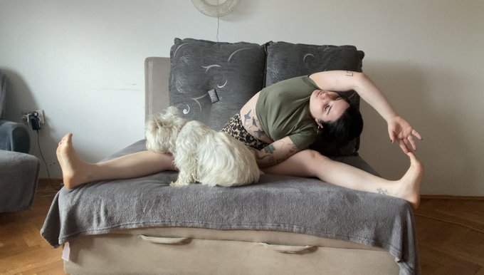 me: just recording a video  Maya: not around me 😂 https://t.co/gHc4YibZ3Y<a href="/tag/suicidegirls"class="tags"><span>#suicidegirls</span></a><a href="/tag/alternativemodel"class="tags"><span>#alternativemodel</span></a><a href="/tag/tattoomodel"class="tags"><span>#tattoomodel</span></a><a href="/tag/webcamgirl"class="tags"><span>#webcamgirl</span></a>