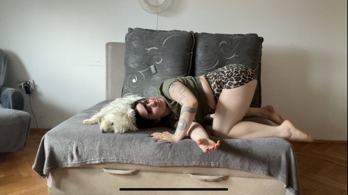 me: just recording a video  Maya: not around me 😂 https://t.co/gHc4YibZ3Y