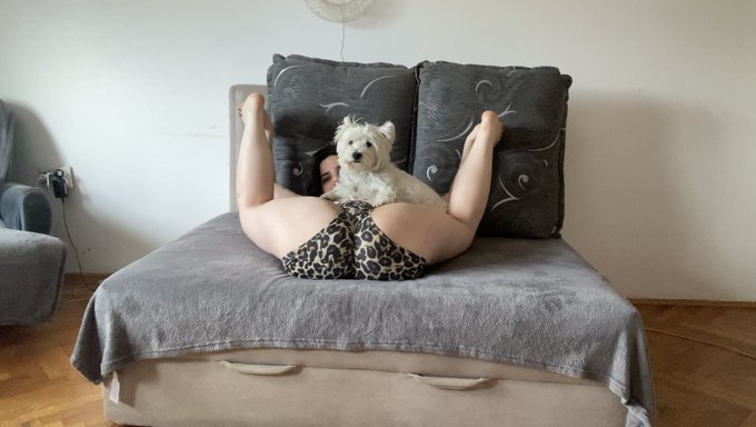 me: just recording a video  Maya: not around me 😂 https://t.co/gHc4YibZ3Y<a href="/tag/suicidegirls"class="tags"><span>#suicidegirls</span></a><a href="/tag/alternativemodel"class="tags"><span>#alternativemodel</span></a><a href="/tag/tattoomodel"class="tags"><span>#tattoomodel</span></a><a href="/tag/webcamgirl"class="tags"><span>#webcamgirl</span></a>