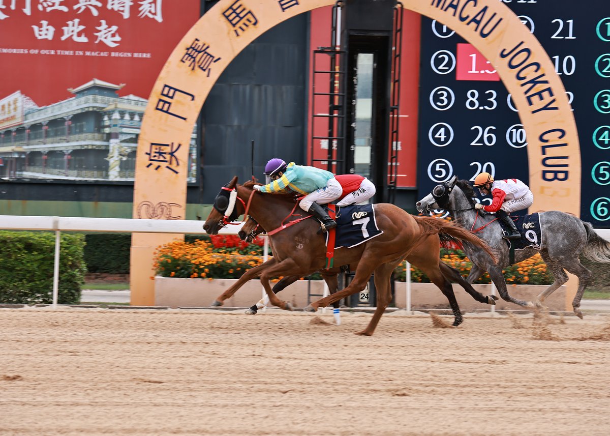Macau Jockey Club tweet media
