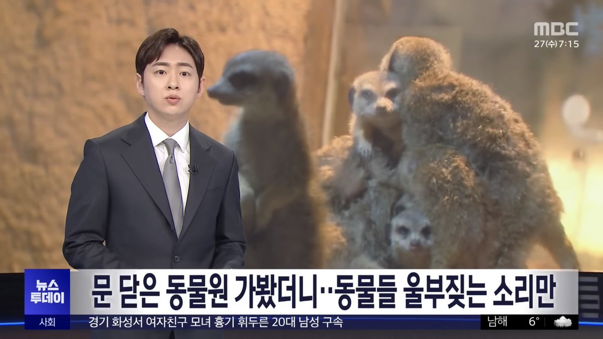 conuresaurus's tweet photo. https://t.co/1gT1xOsNDF
유튜브 보다가 대구에 있는 한 문닫은 실내동물원에 동물들이 방치 수준으로 남겨져 있다는 뉴스를 봤다
삼백마리 가까운 동물들이 부분조명 말고는 불도 안 들어온 실내에 그대로 갇혀있음. 부부 사육사가 소액 수고료 받고 최소한의 돌봄은 해준다는데 난방도 안돼서 https://t.co/Zq570YA4vd