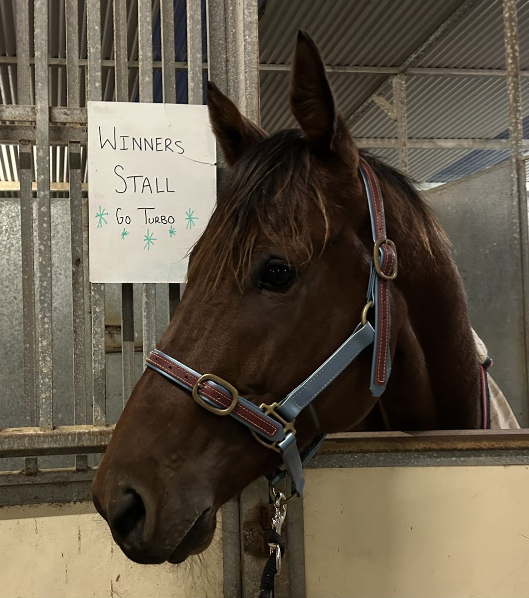 Extremely satisfying to win a race with Turbo Toronado at Warracknabeal today. Full story on our website and socials tomorrow but very proud of my small team 🏇💪🏼