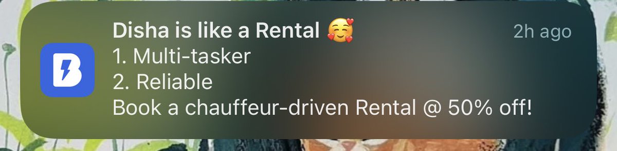 I’m sure there’s a better way of saying this BluSmart than comparing me to a rental