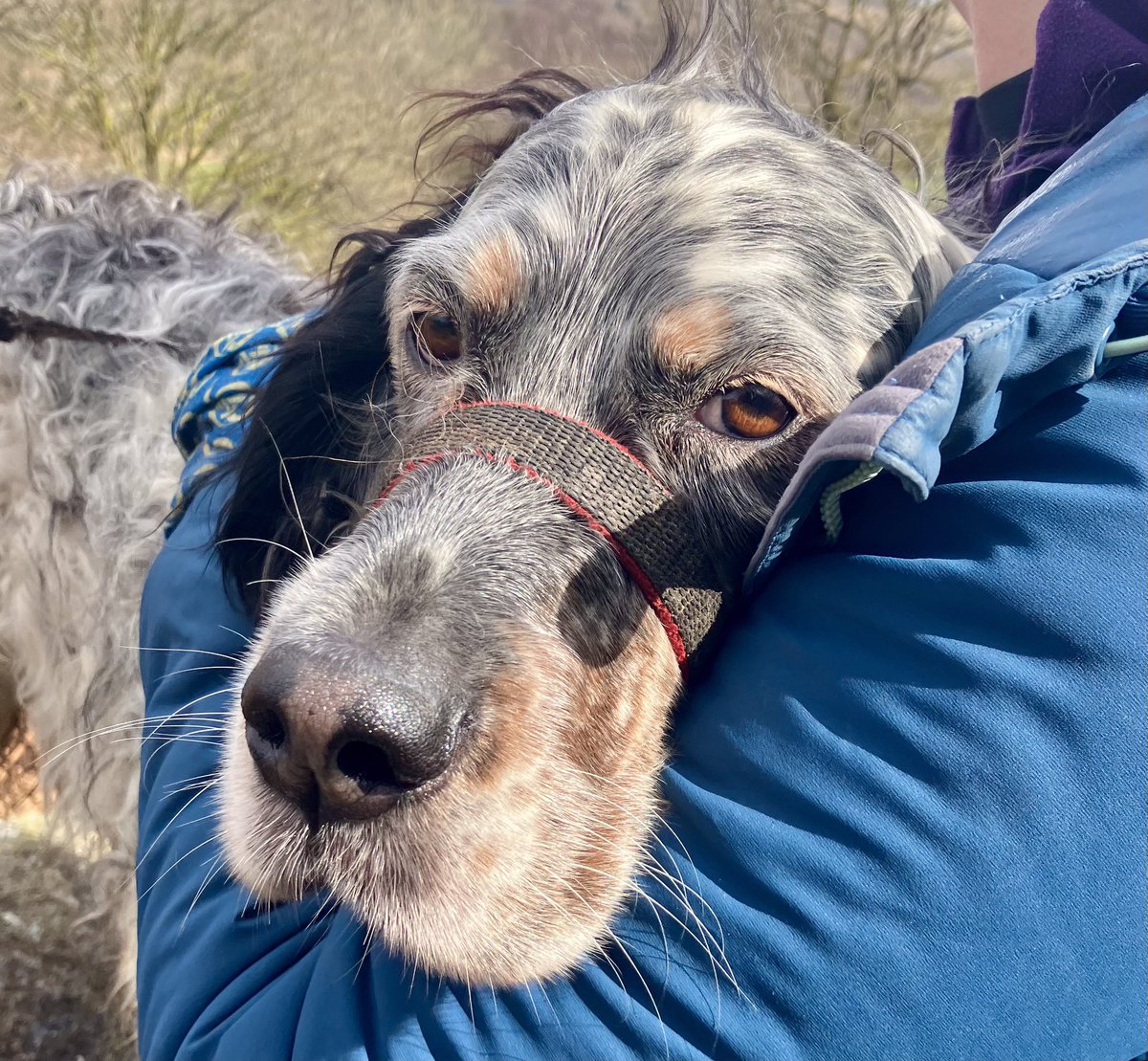 Tim_C_Ingram's tweet photo. Lunch at #TheBootInn ….tea from #WoolpackInn with some wandering in between #easter2024 #eskdale https://t.co/1WWOBtxuuG