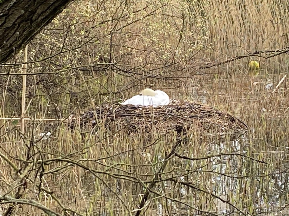 Lin Cork 🏴󠁧󠁢󠁥󠁮󠁧󠁿 tweet media