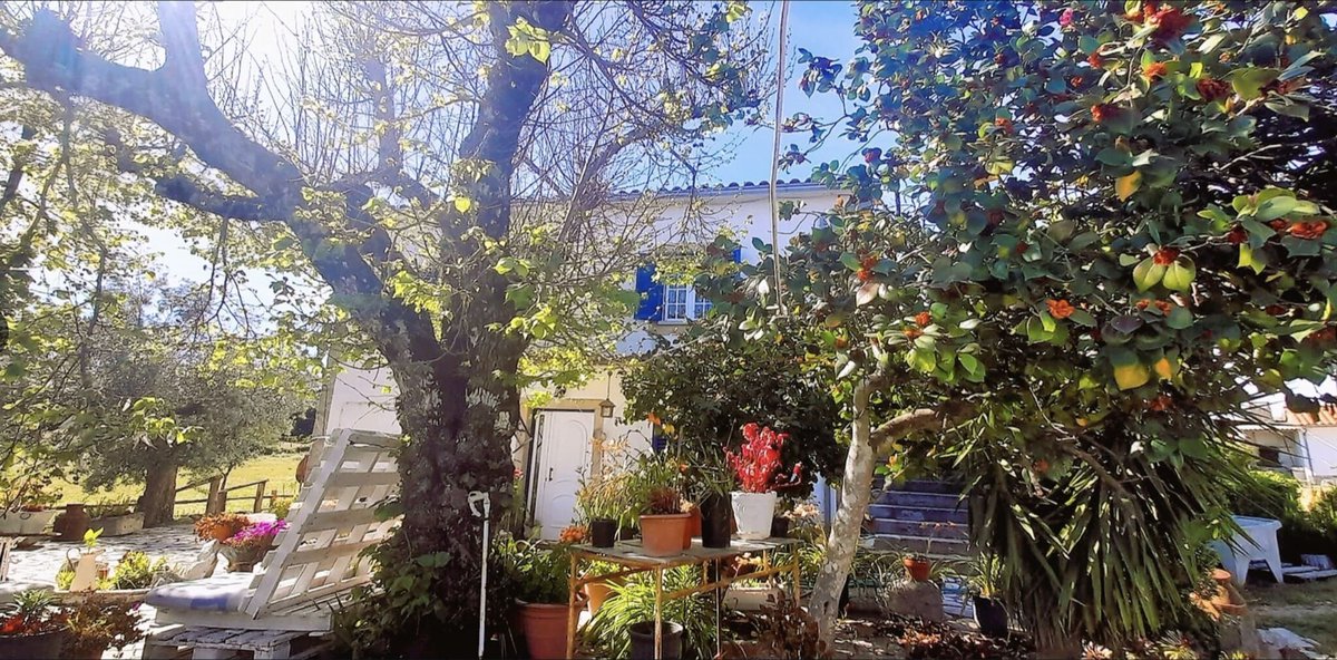 Portugal
FANTASTISCHES ANWESEN - Grundstück - 10 HA
3 HÄUSER - SCHWIMMBAD - div.  Nebengebäude
Verkaufspreis: Euro 1.270.000,–
Provisionspflichtig: ja  - Vorhanden sind 3 Häuser