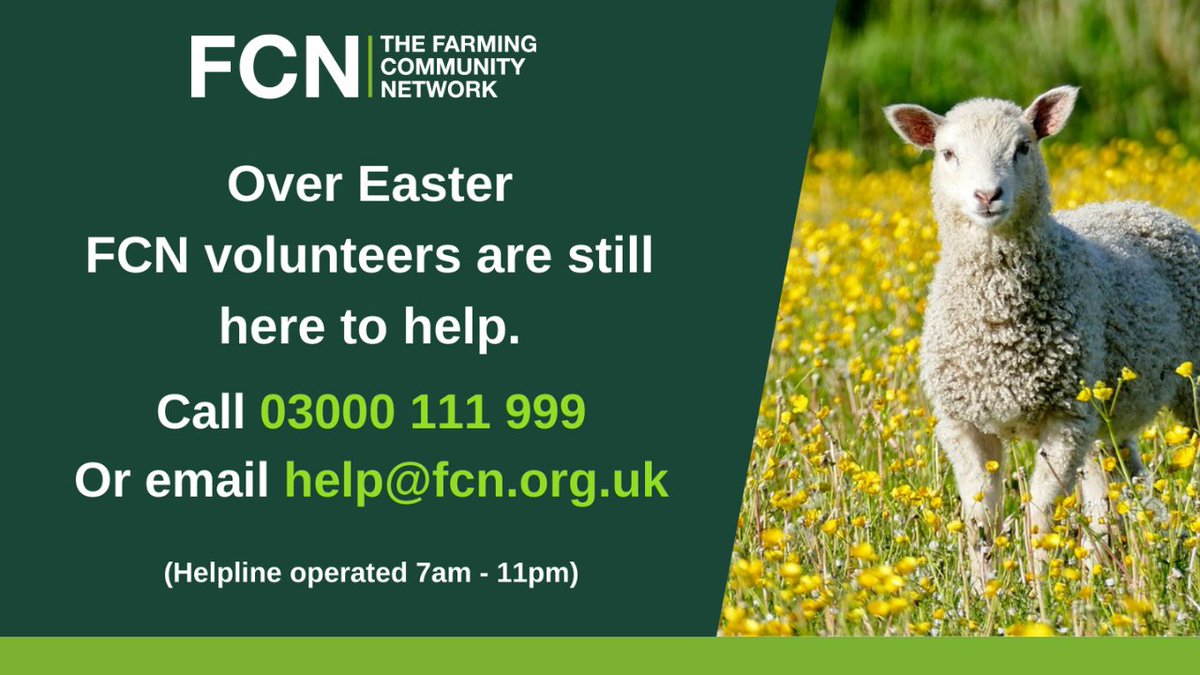 We wish everyone a safe and restful Easter weekend. FCN volunteers are still here to listen and support - we can be called in confidence on 03000 111 999 or emailed at help@fcn.org.uk.